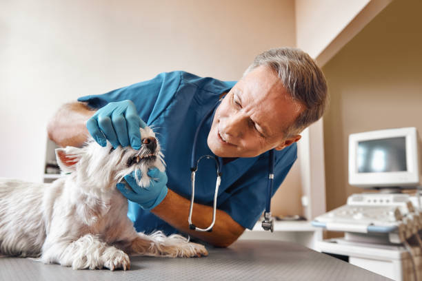 Best Cracked Tooth Emergency Dentist  in Pickerington, OH